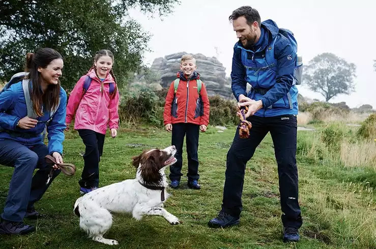 The Best Dog Walks in the UK