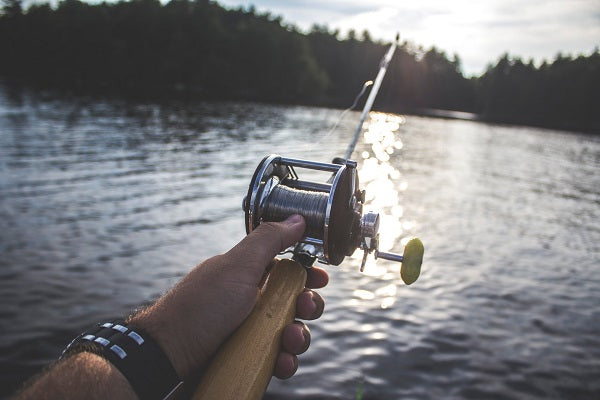10 Places to GO Fishing on Pembrokeshire Coast