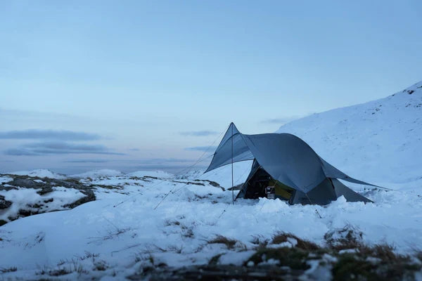 10 New Forest Campsites to Try