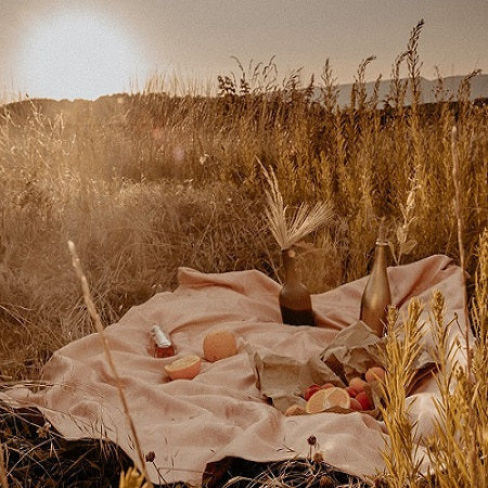 Tips for the Perfect Picnic