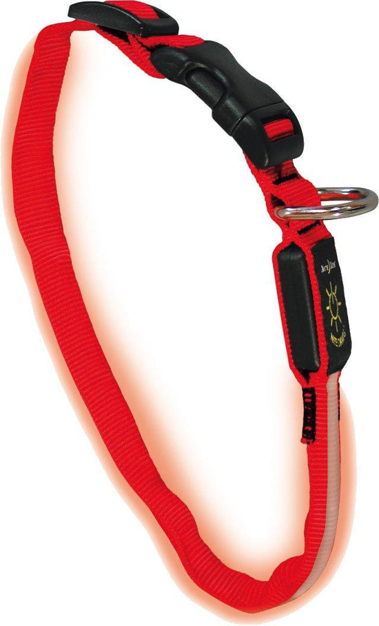 Nite Dawg LED Dog Collar (Small)
