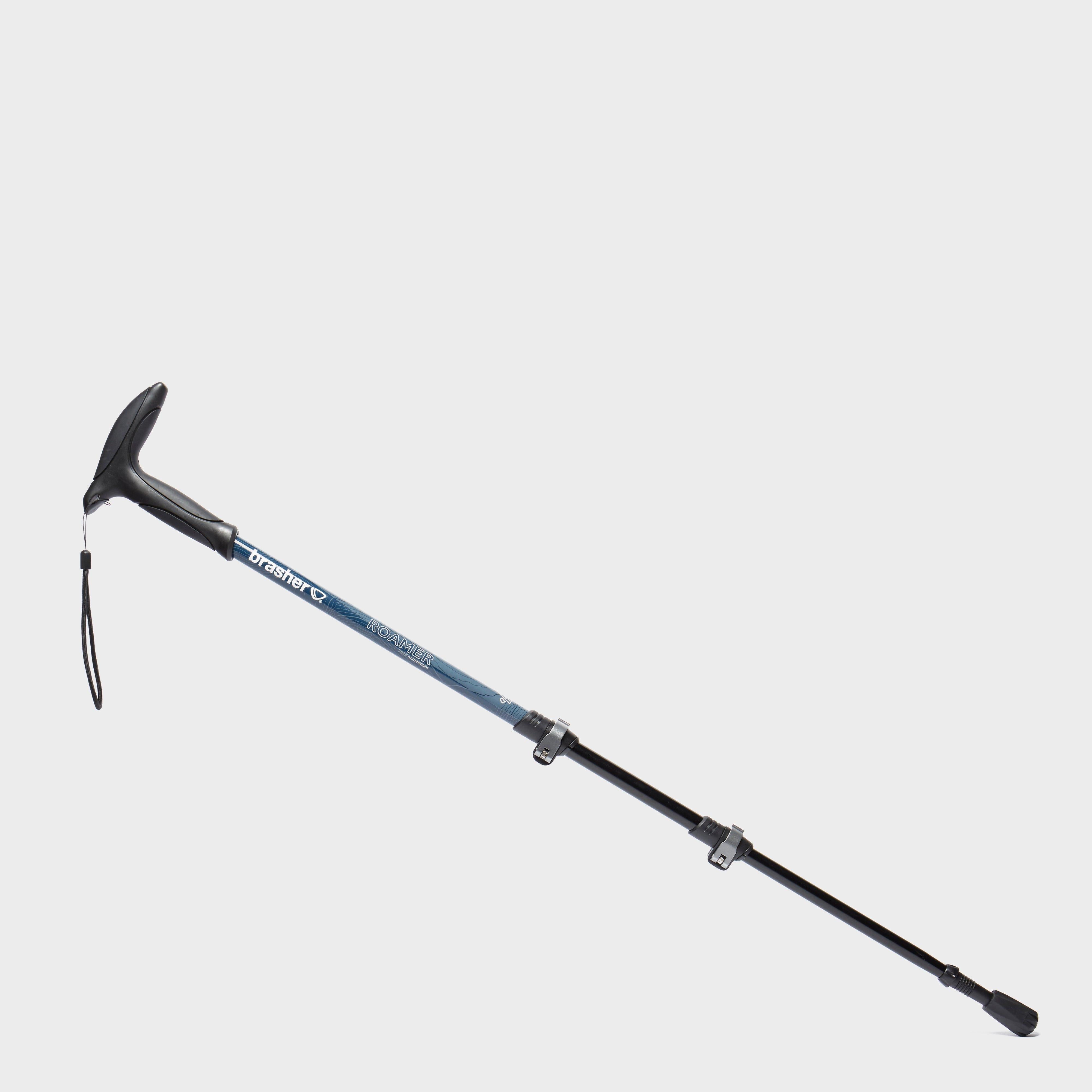 Country Roamer Walking Pole