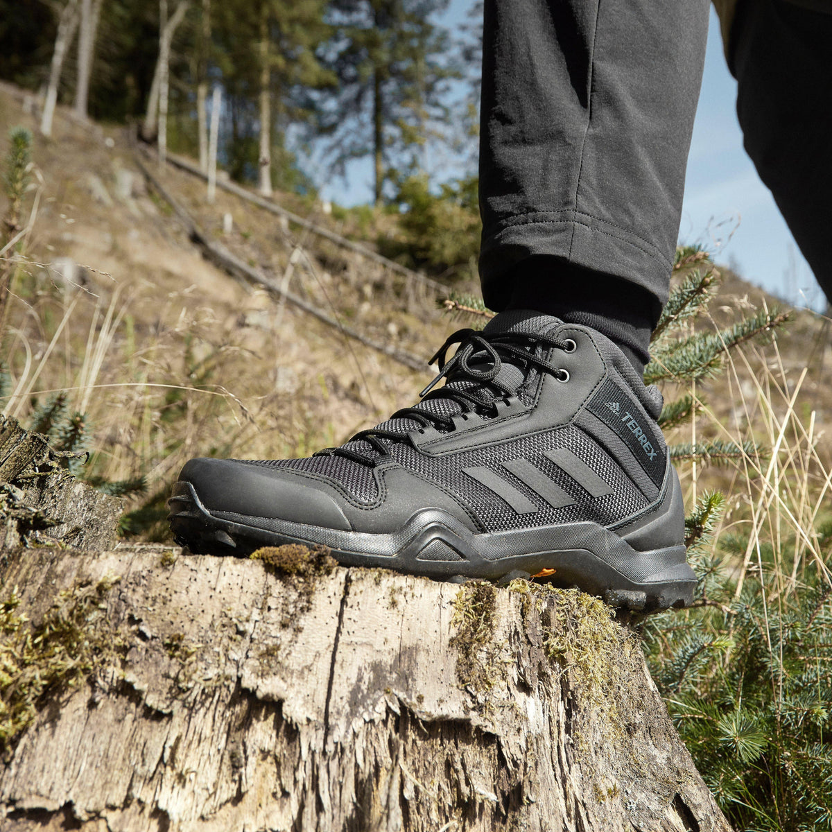 Men's AX3 Hiking Shoes