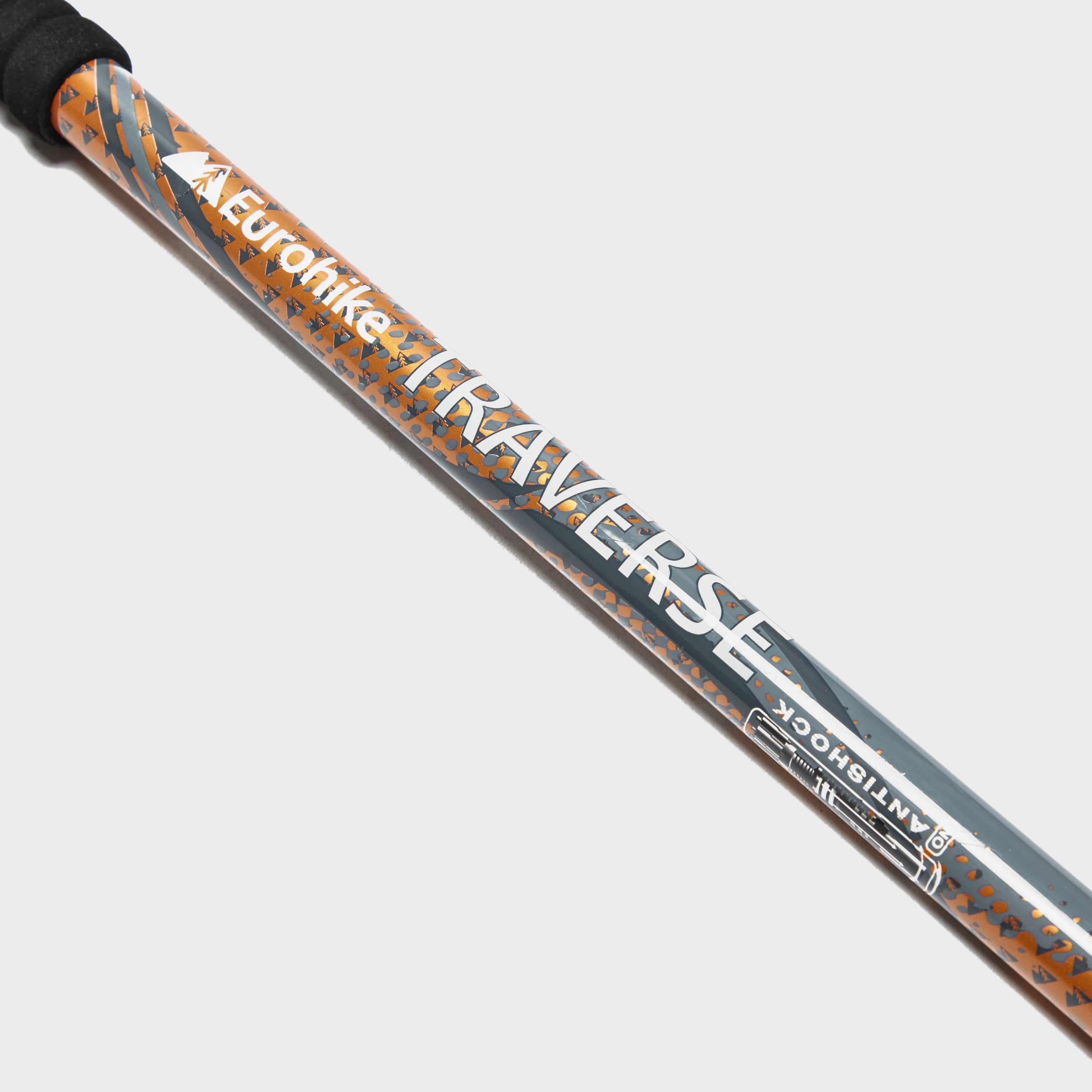 Traverse Anti-Shock Walking Pole