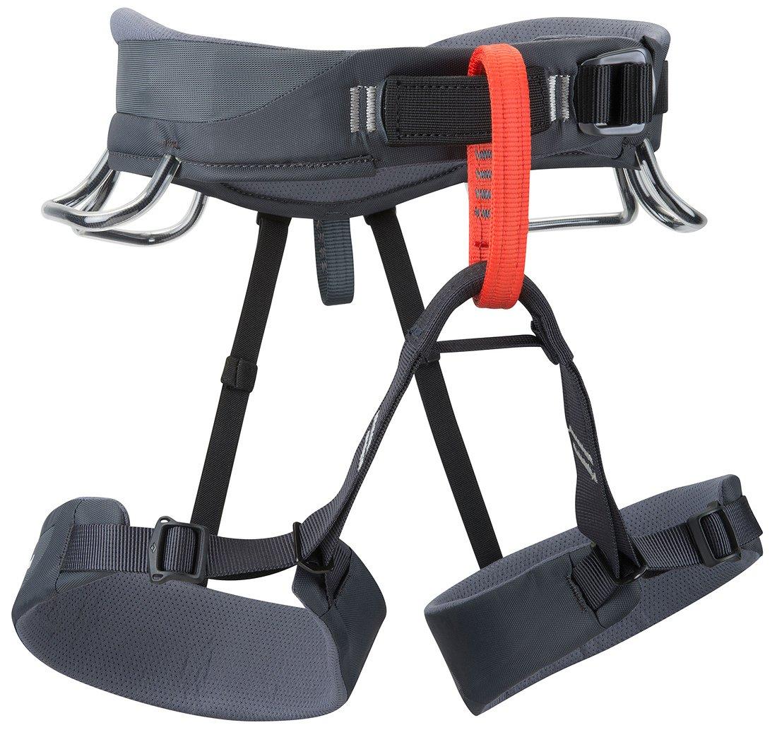 Momentum Harness