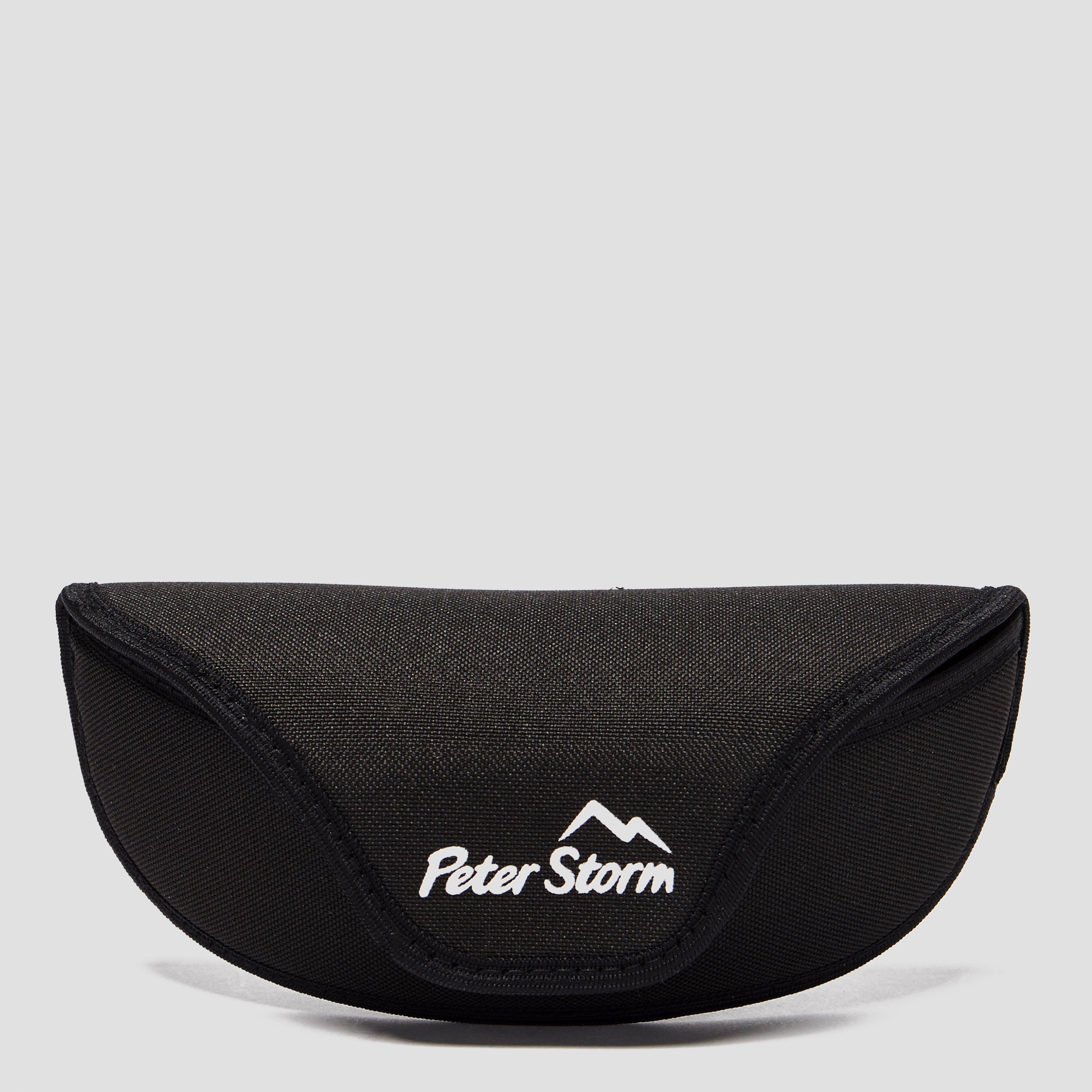 Men’s Wayfarer Sunglasses