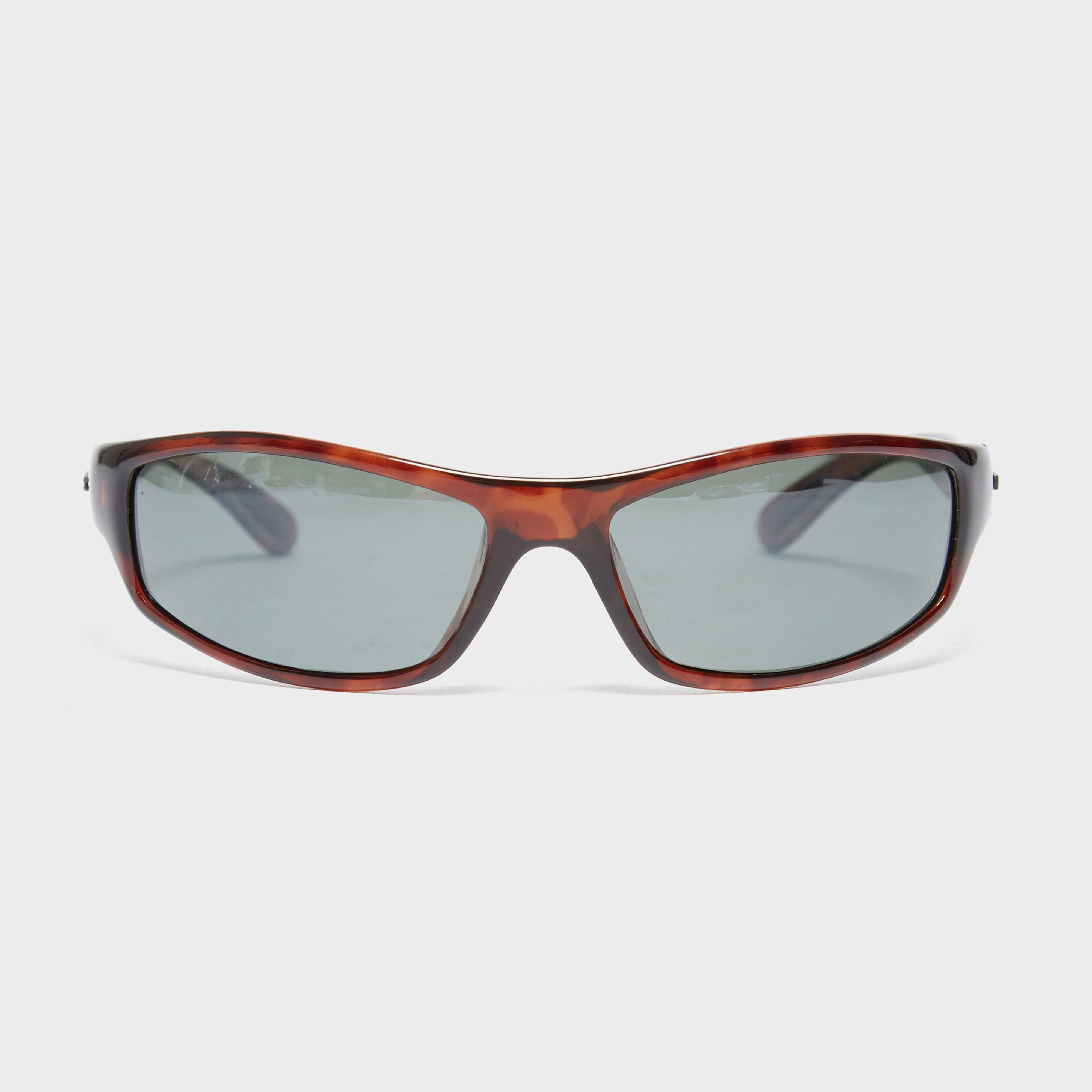 Hornet PT22 Sunglasses
