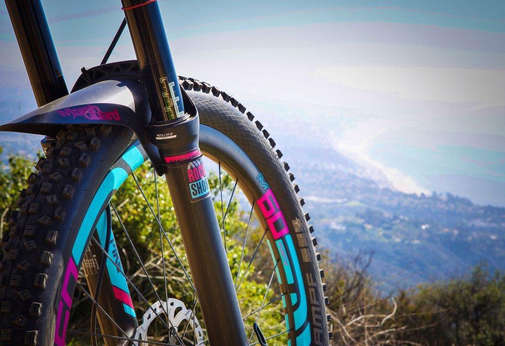 Honeycomb Fork Guard (Clear)
