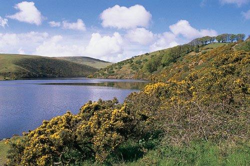'Walking on Dartmoor' Guidebook