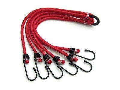 Spider Bungee (6 Claw)