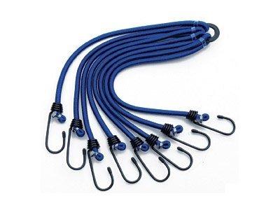 Spider Bungee (8 Claw)