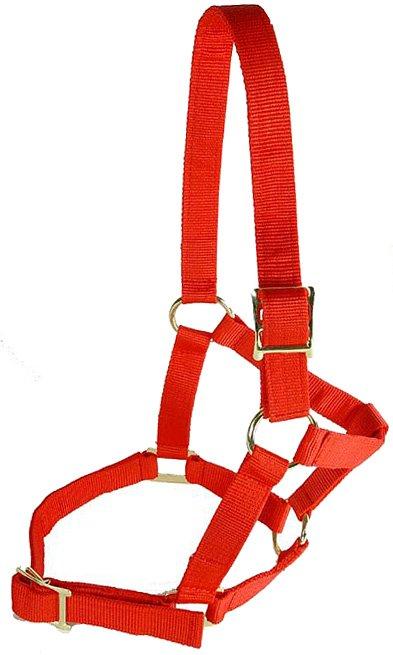Economy Headcollar