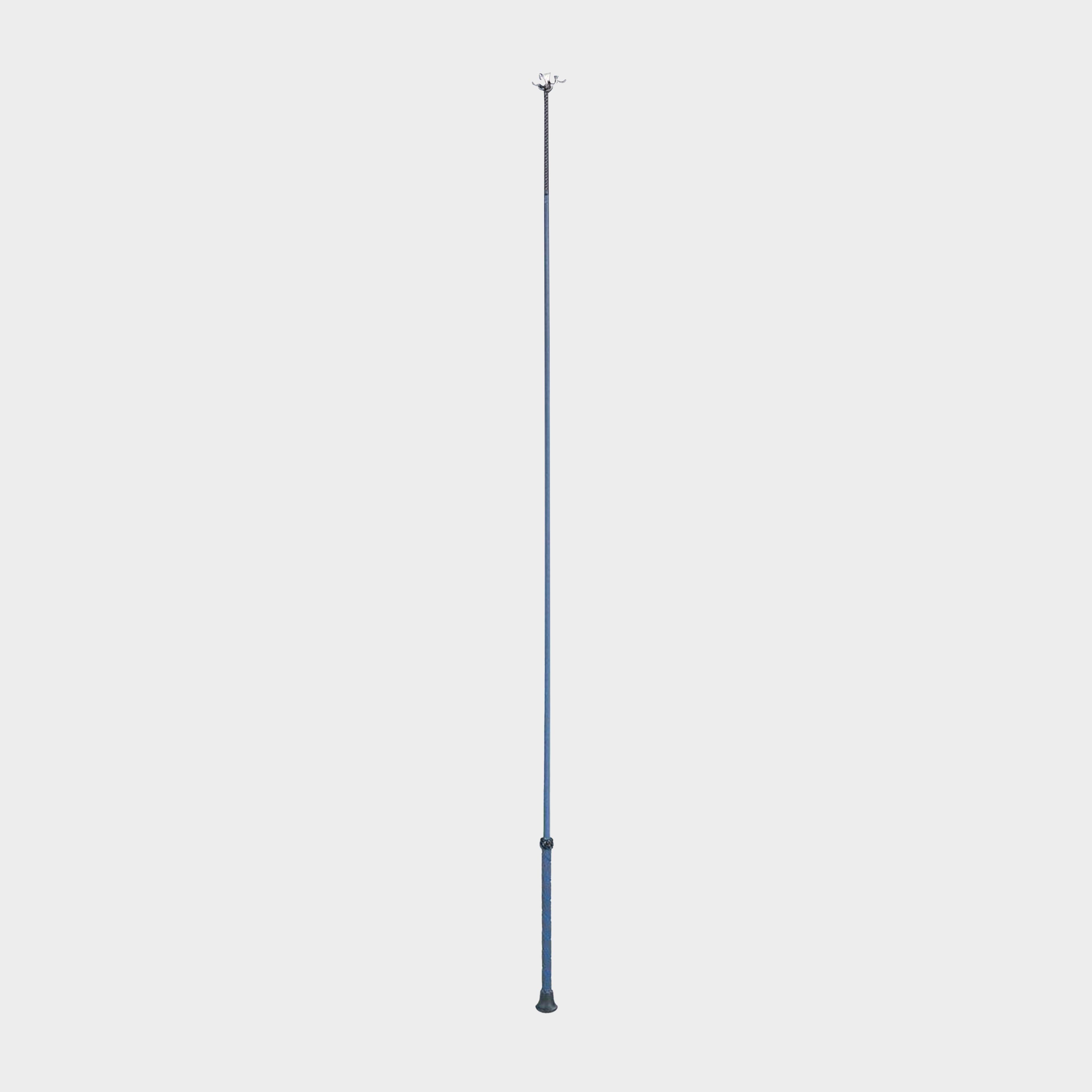 Dressage Whip