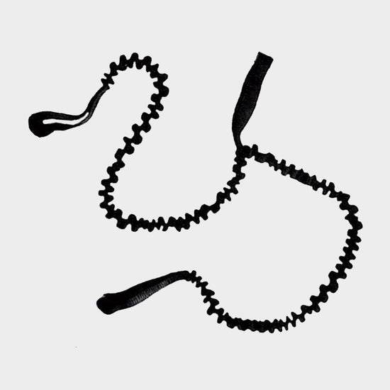 Simple Double Spring Leash