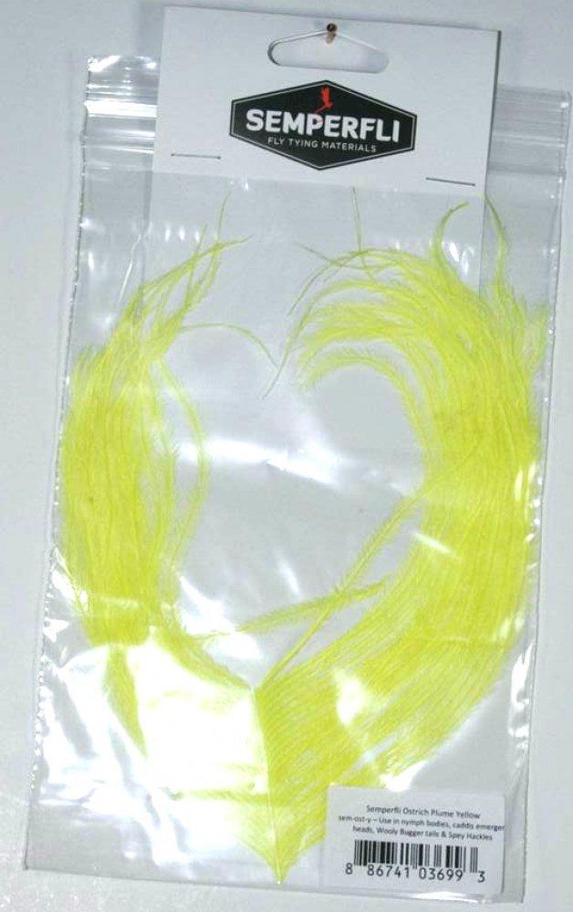 Ostrich Plume Orange