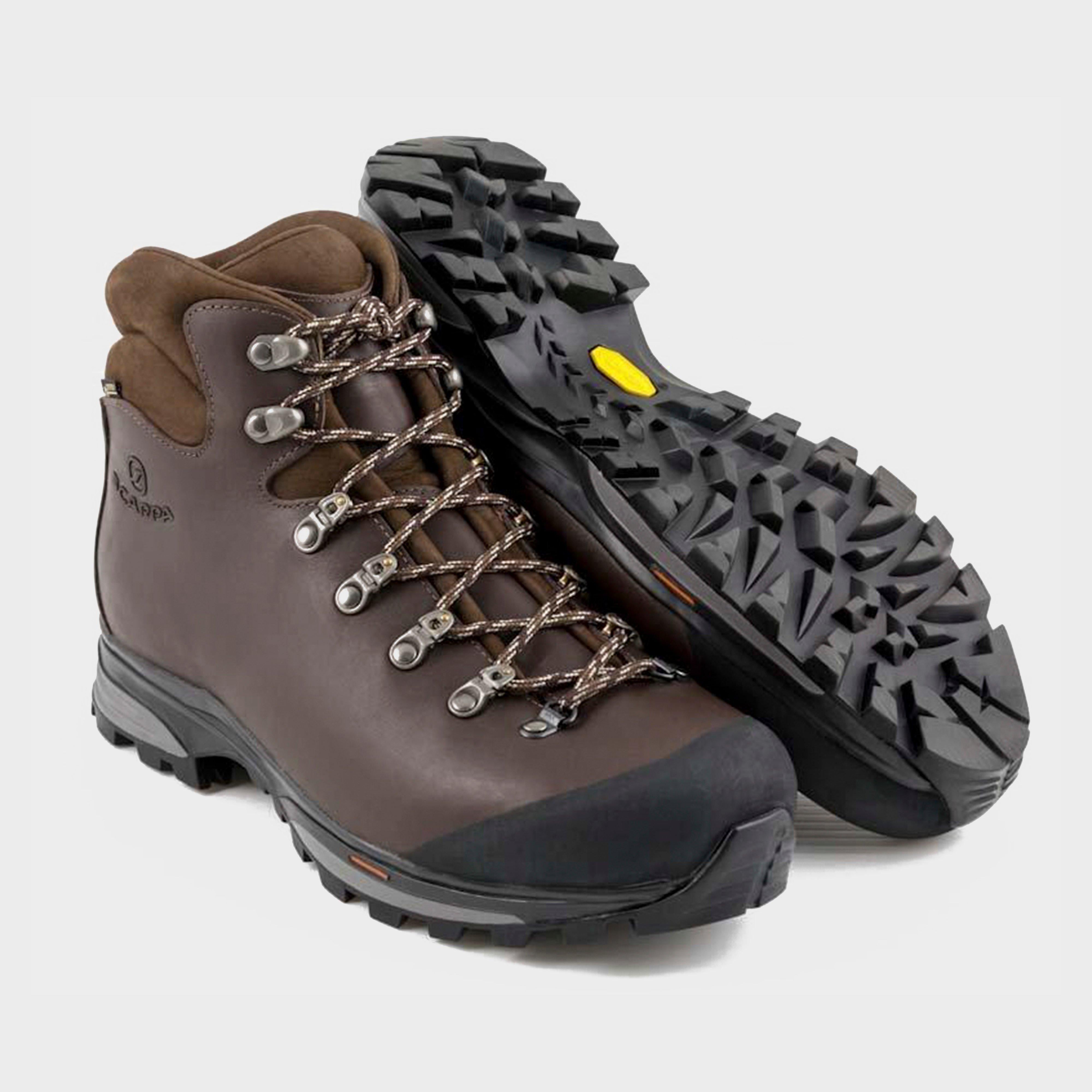 Delta GTX Activ Men's Walking Boots