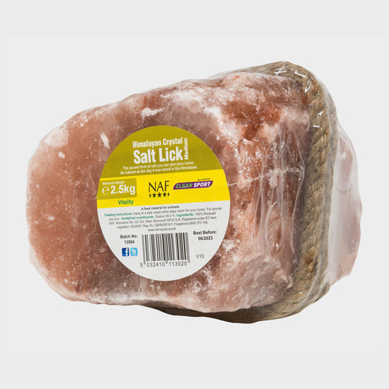 Himalayan Salt Lick (Medium)
