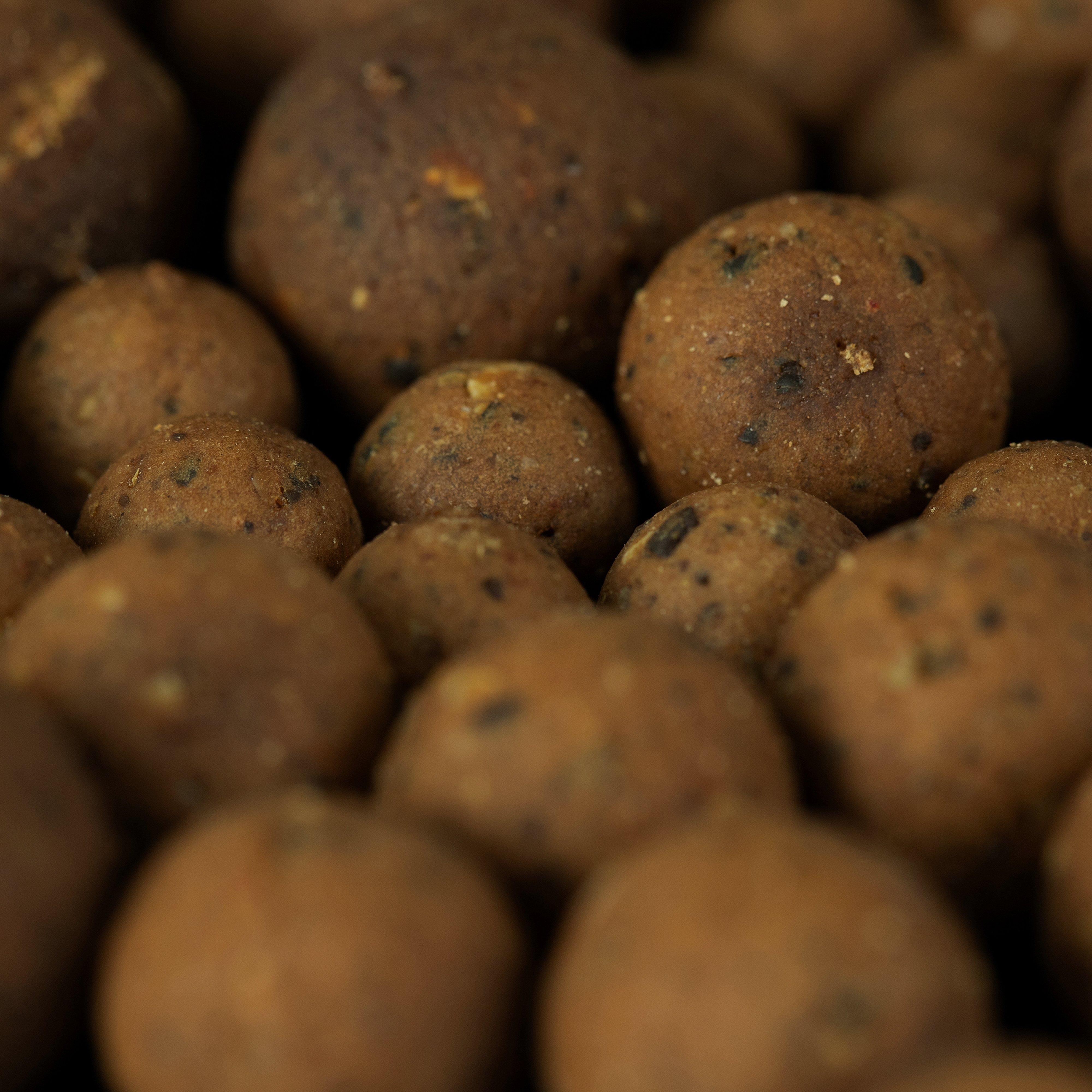 Bloodworm 16Mm 1Kg Shelf