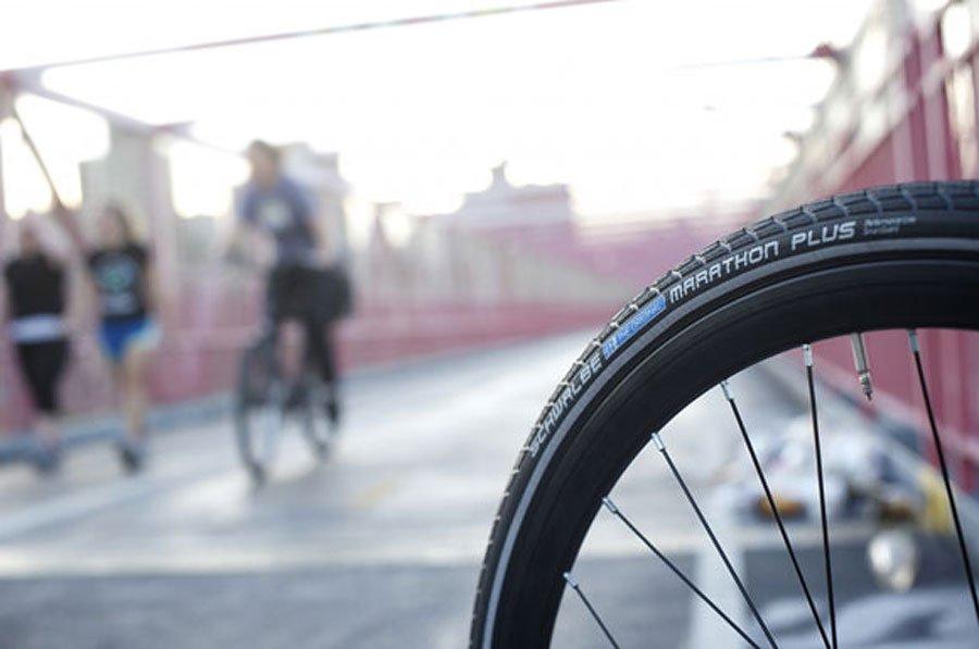 Marathon Plus Tyre (700 x 25C)
