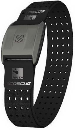 Rhythm+ Armband Heart Rate Monitor