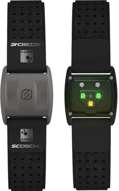 Rhythm+ Armband Heart Rate Monitor