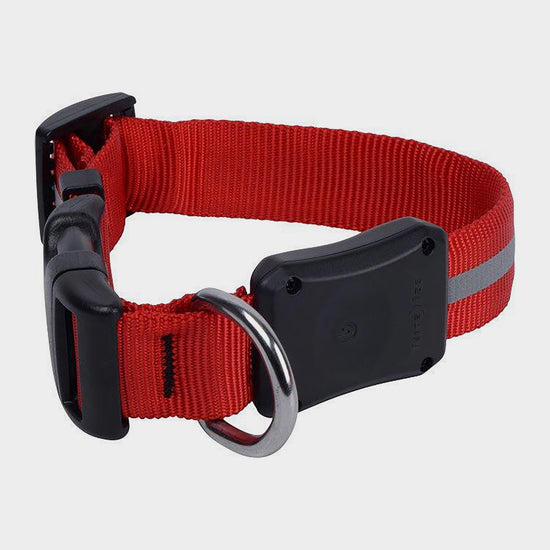 Nite Dawg II LED Collar (Small)