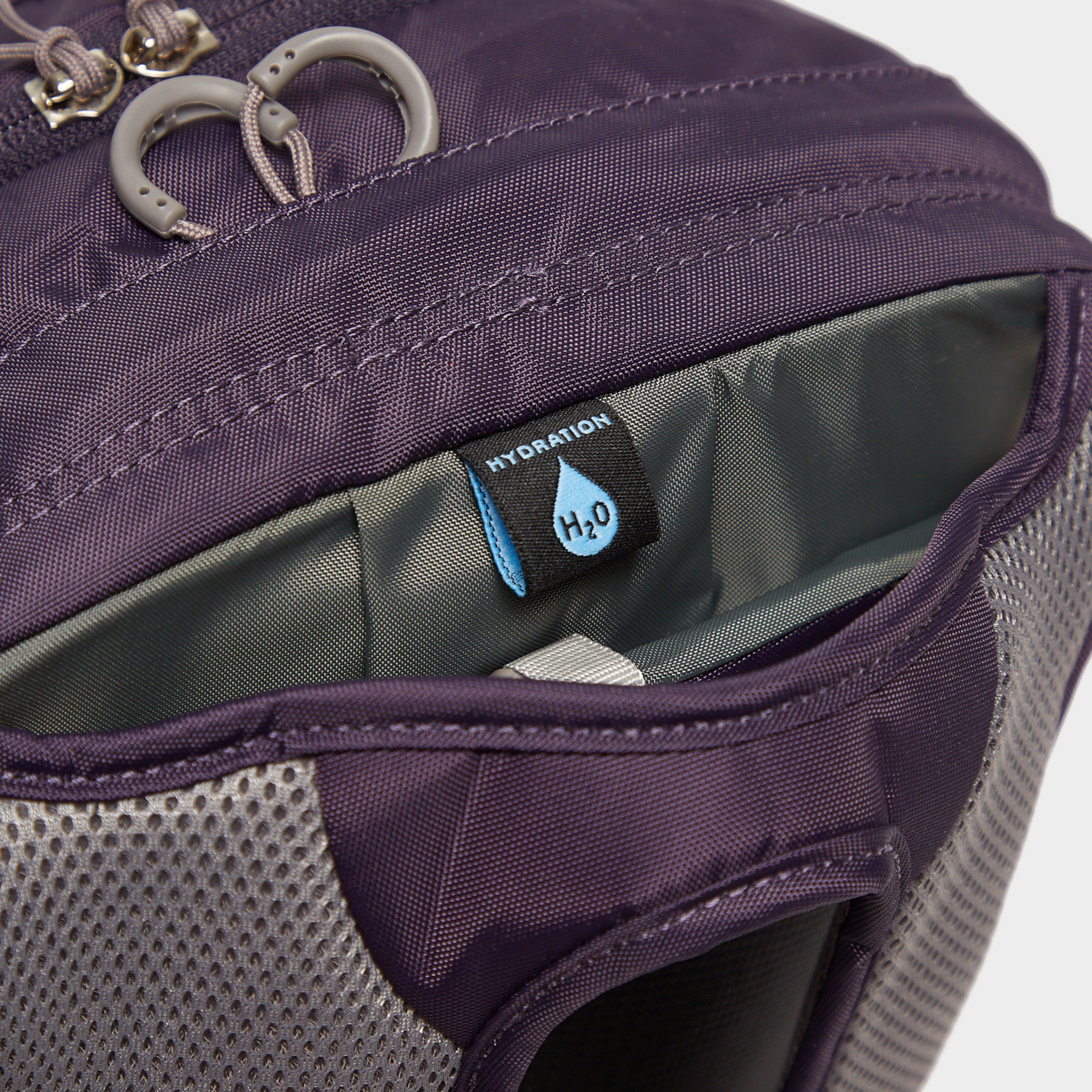 Daylite Backpack