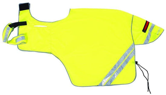 Hi Viz Ride On Exercise Sheet