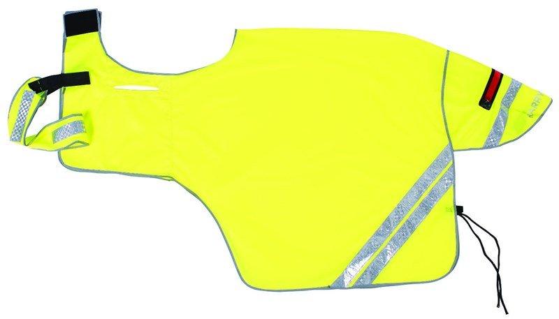 Hi Viz Ride On Exercise Sheet