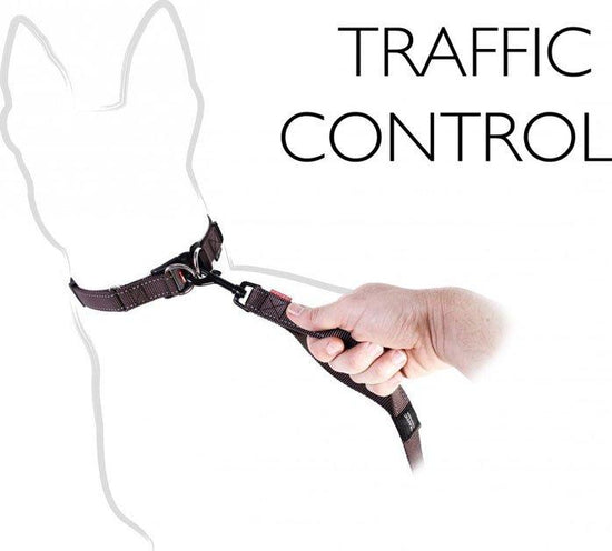 Zero Shock Dog Lead (48")