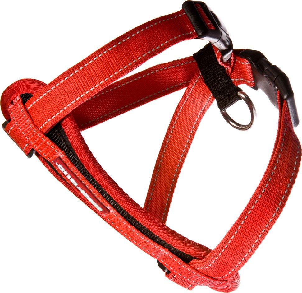 Chest Plate Harness Red