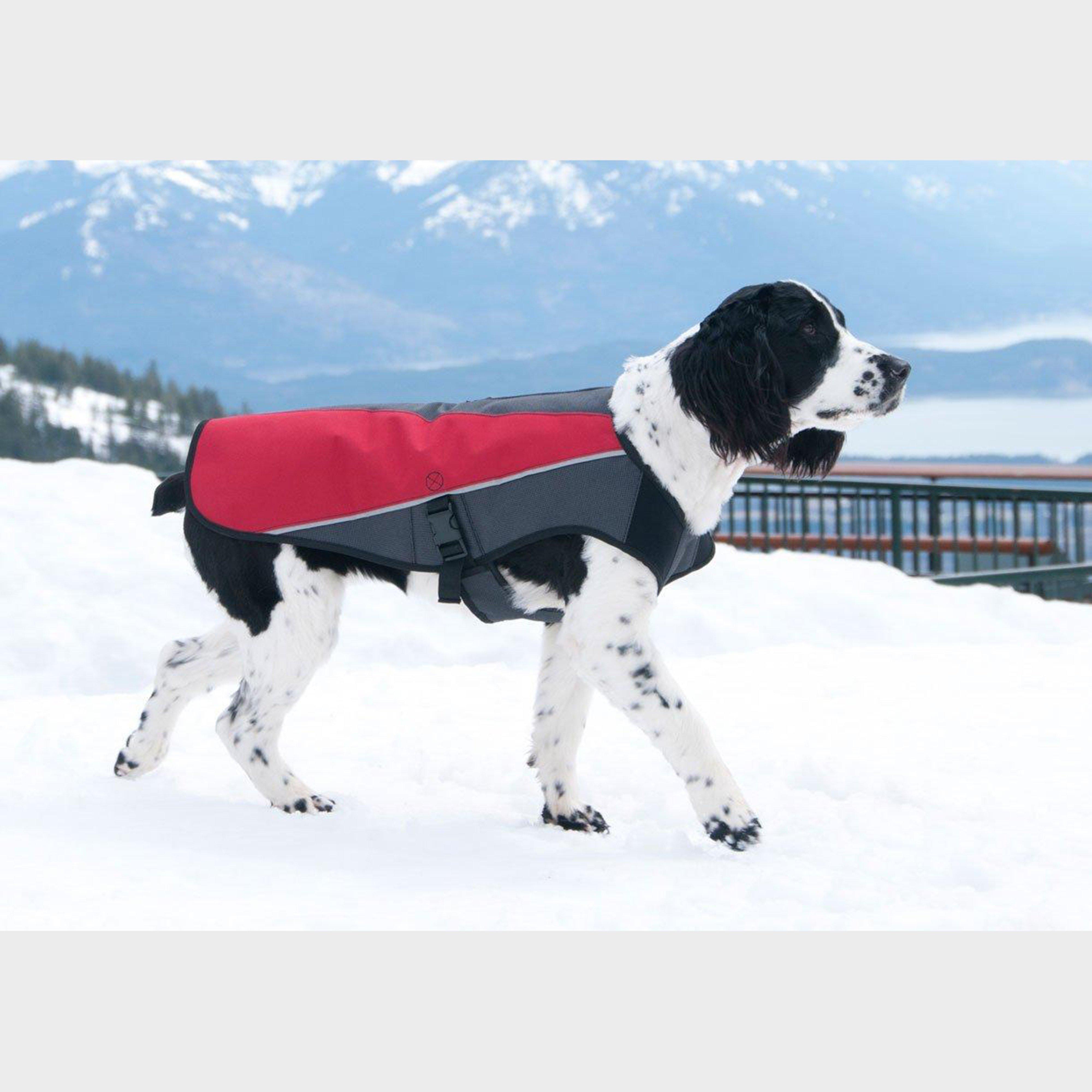 Element Dog Jacket (Medium)