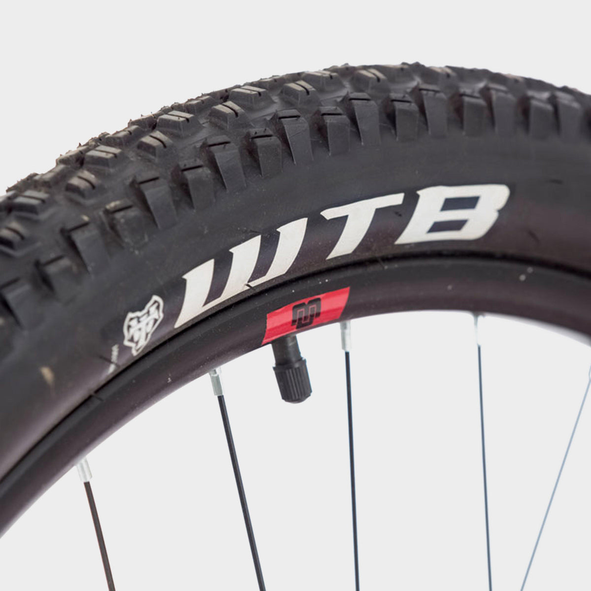 Rake Mountain Bike