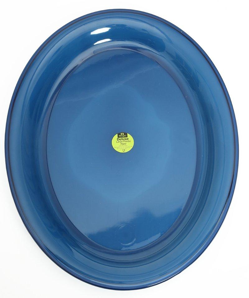 Deluxe Large Plastic Plate