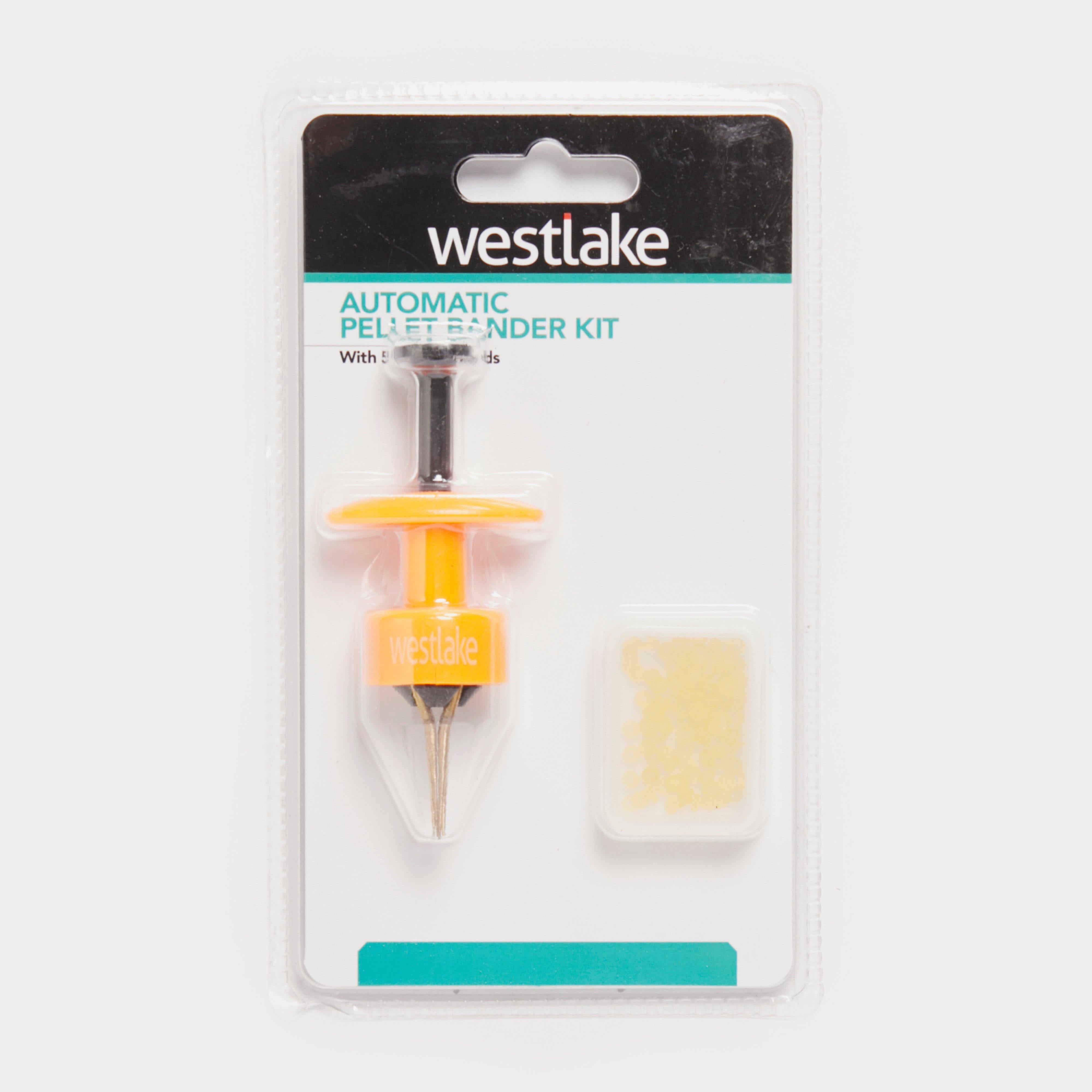 Auto Banding Tool With Bands