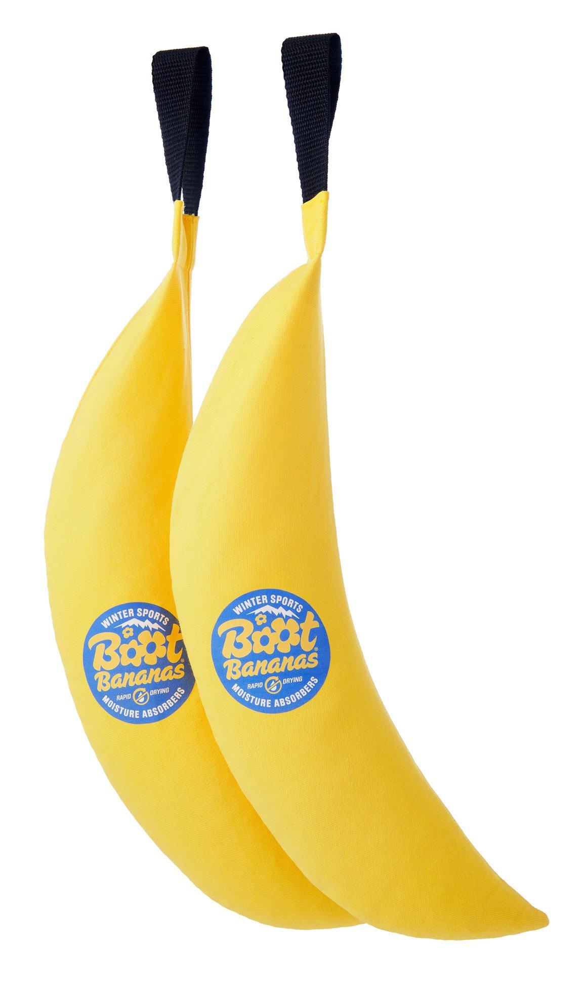 Winter Sports Moisture Absorbers