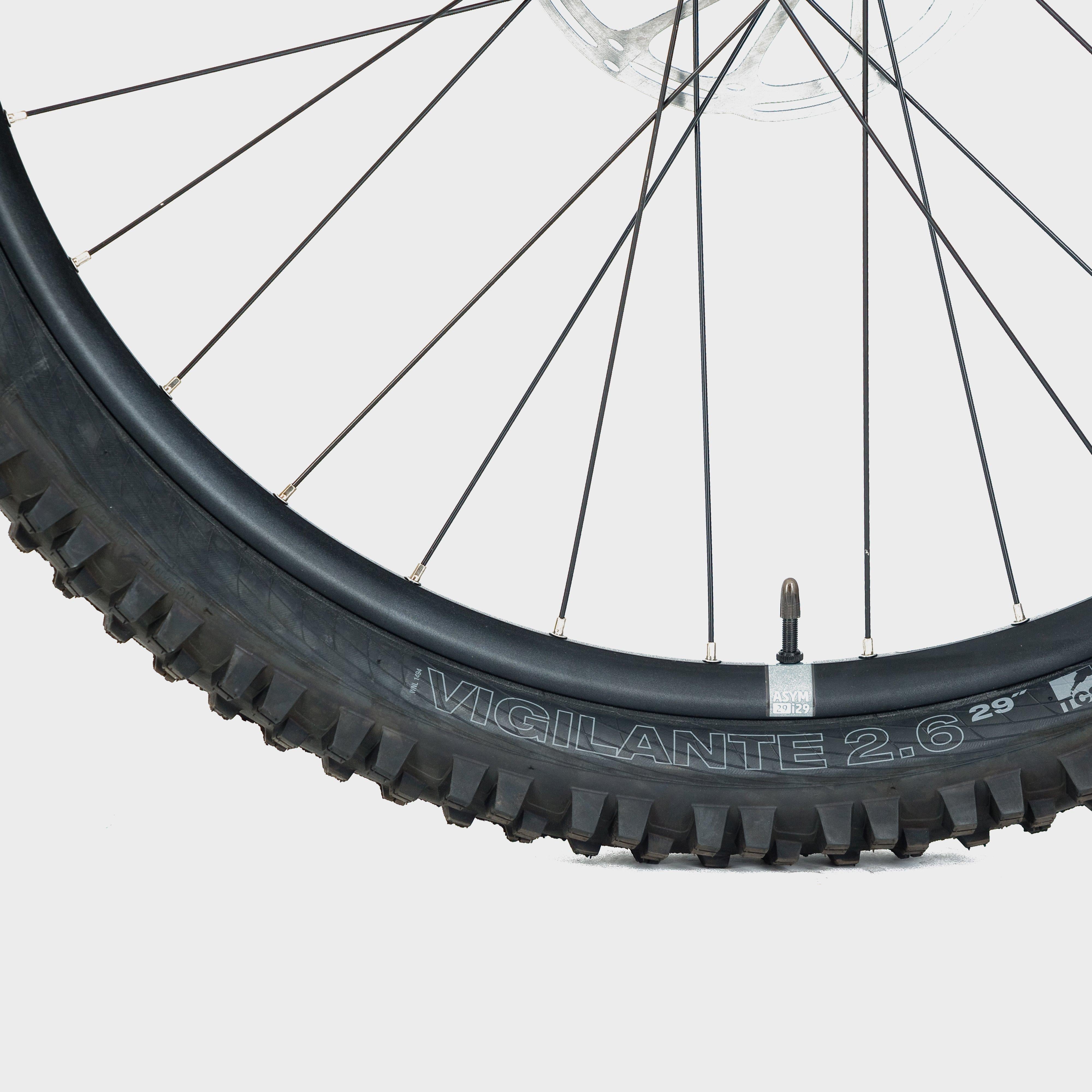 Sentry Pro Enduro Mountain Bike