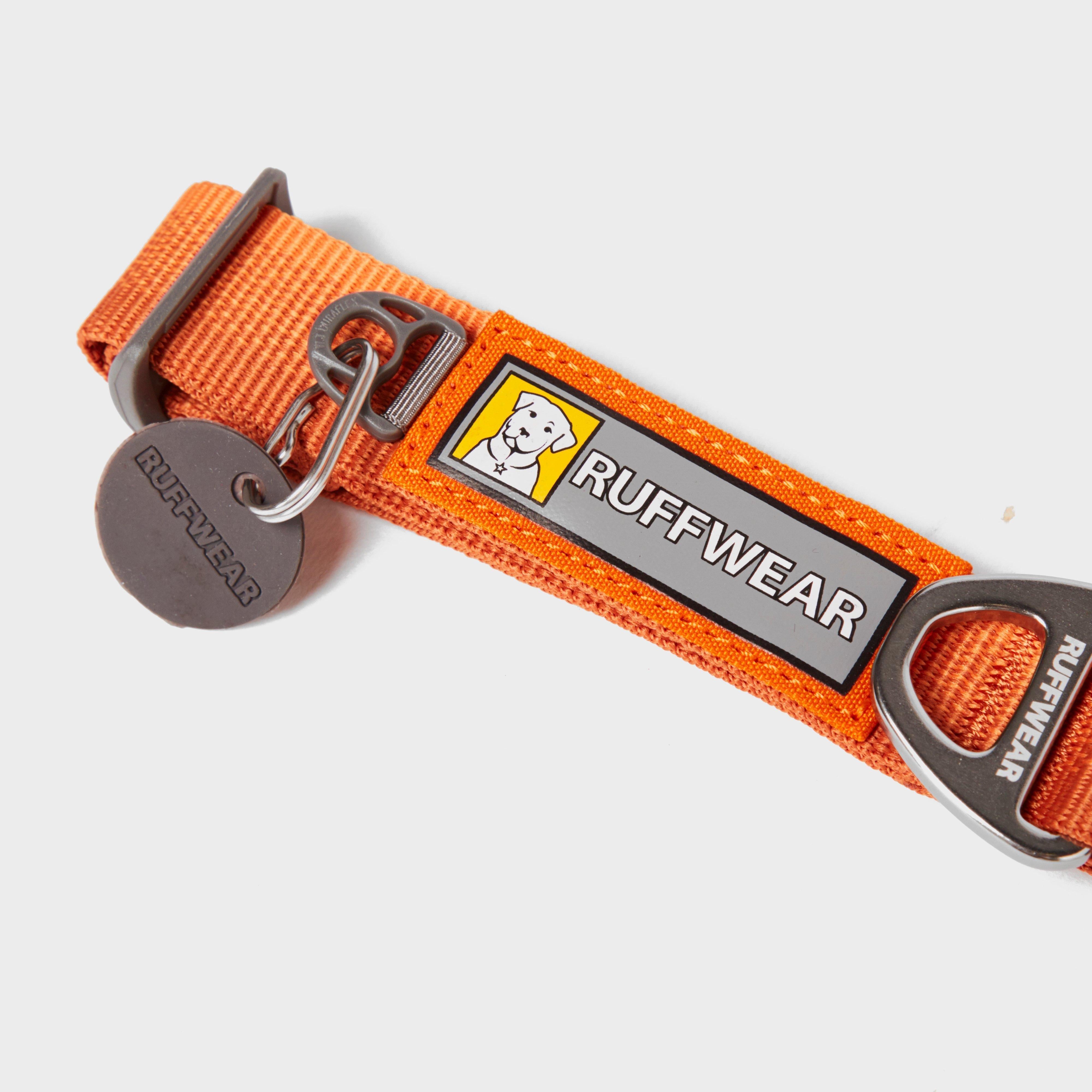 Front Range Dog Collar Orange