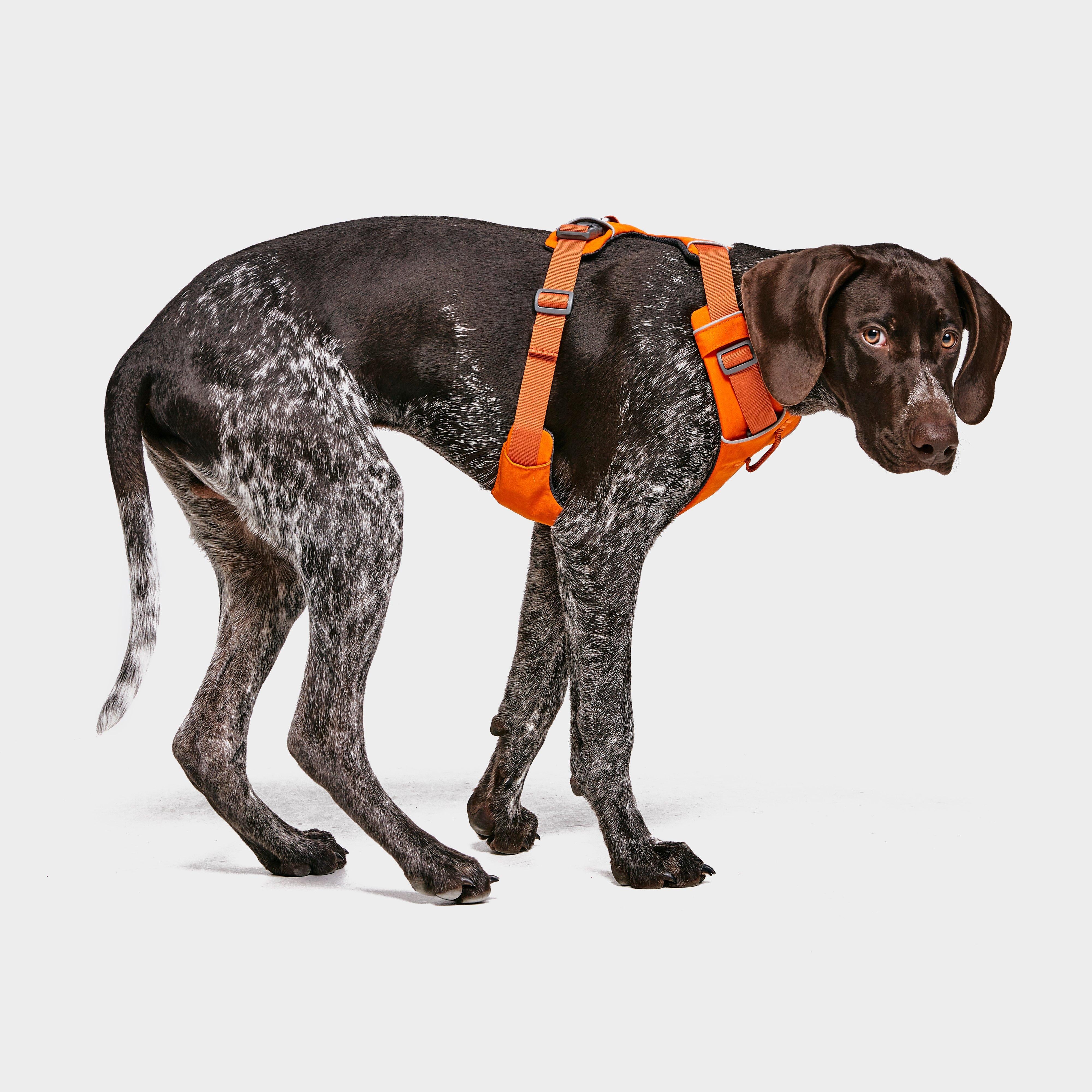 Front Range™ Dog Harness