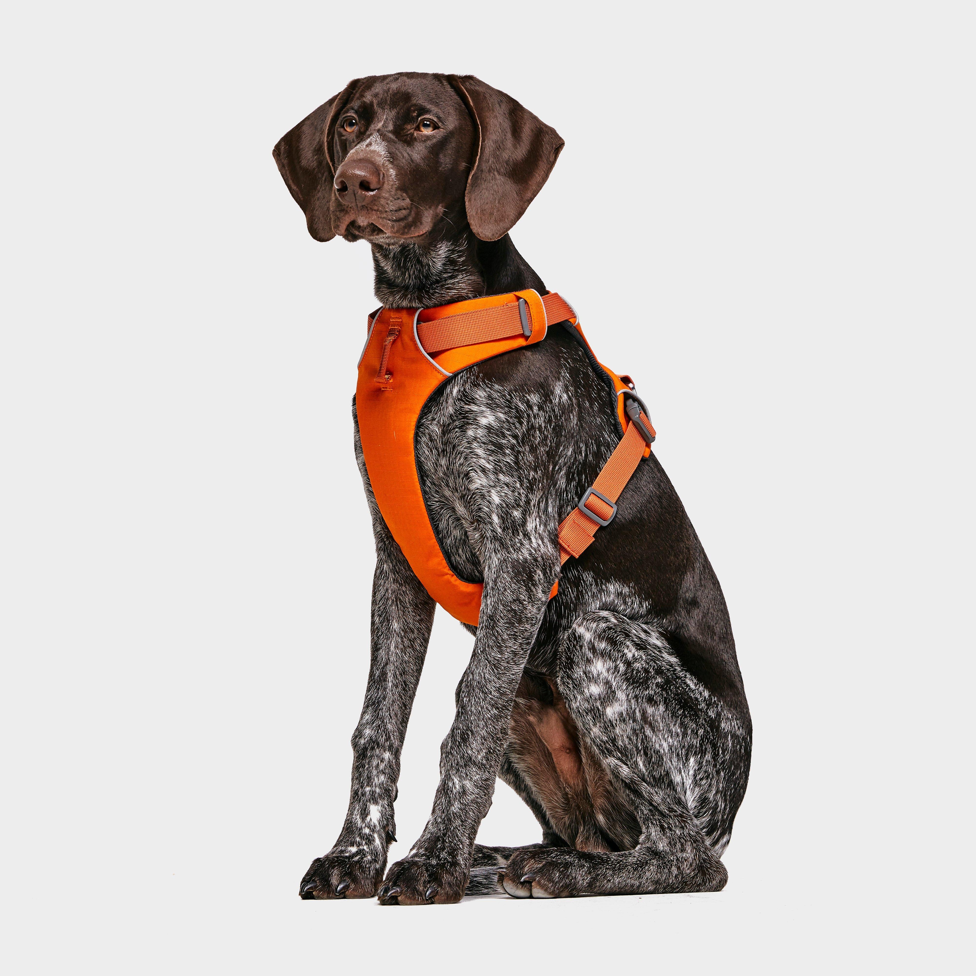 Front Range™ Dog Harness