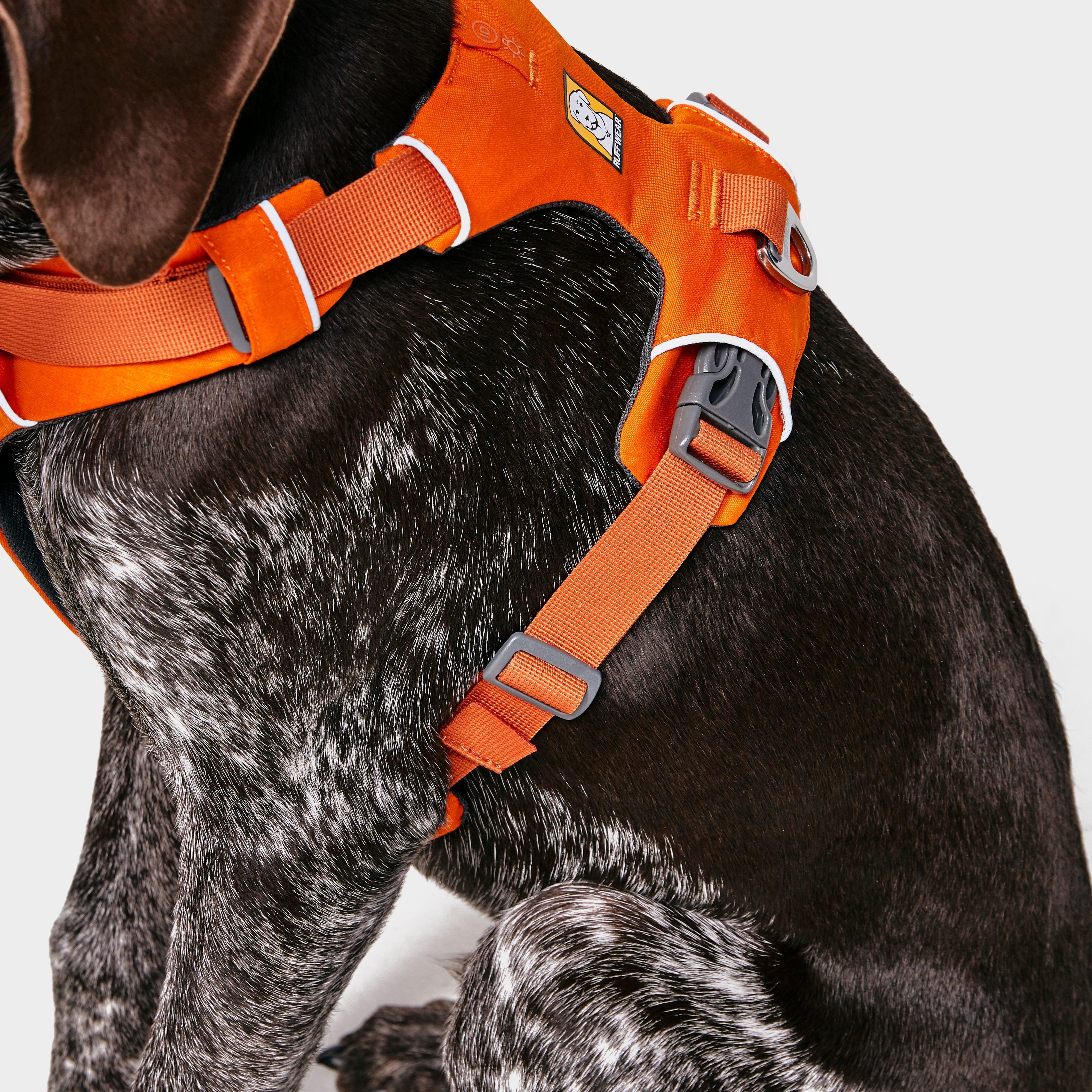 Front Range™ Dog Harness