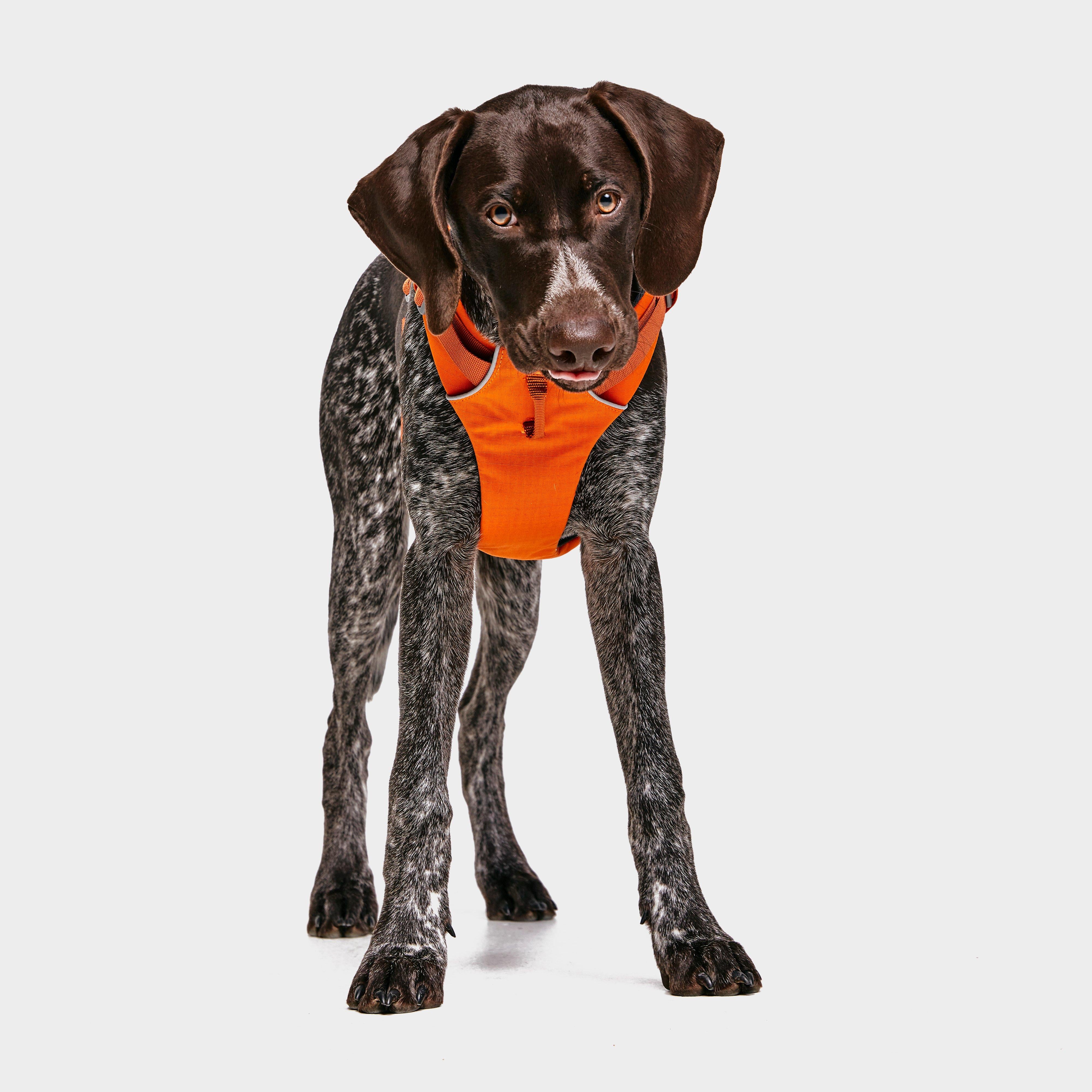 Front Range™ Dog Harness