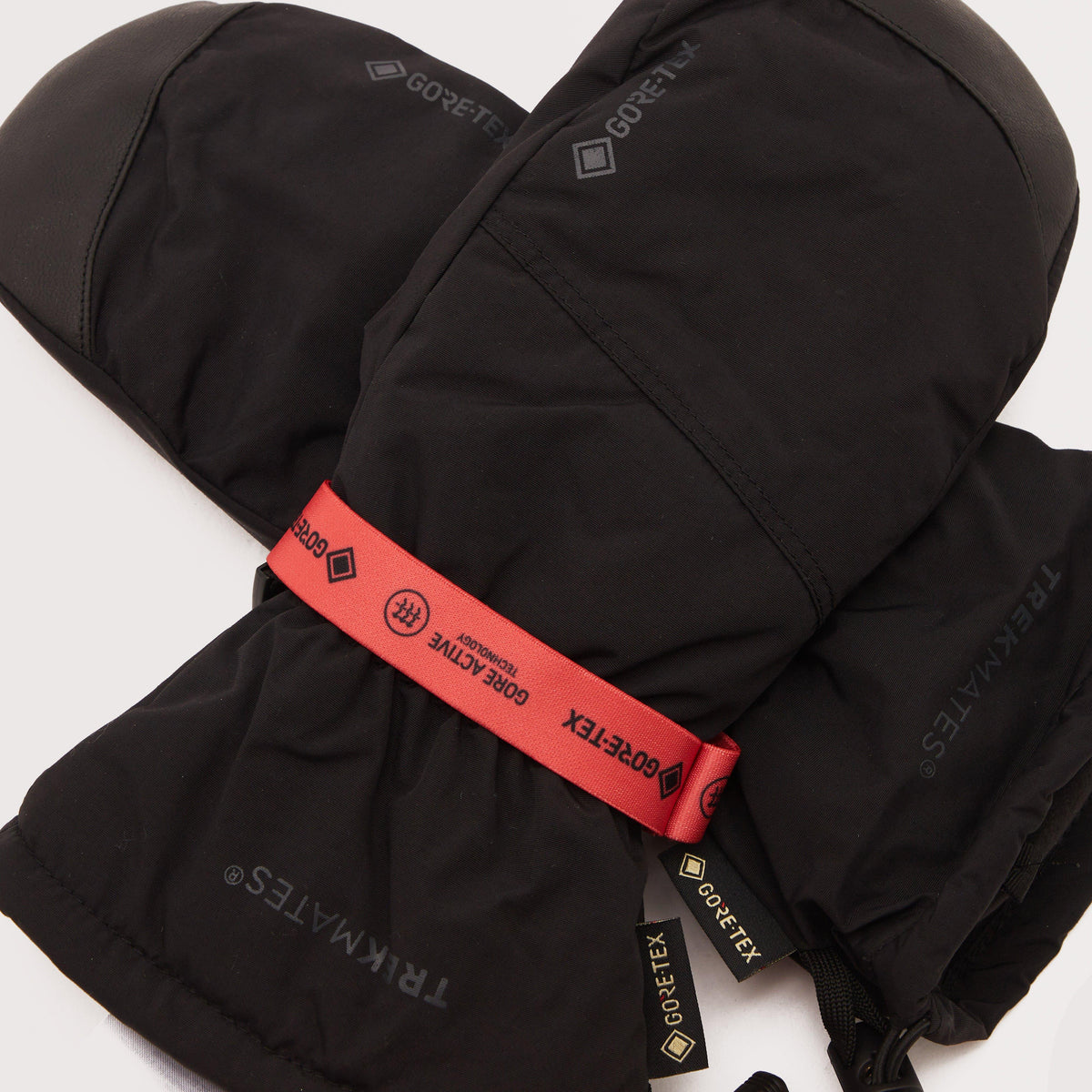 Chamonix GORE-TEX® Mittens