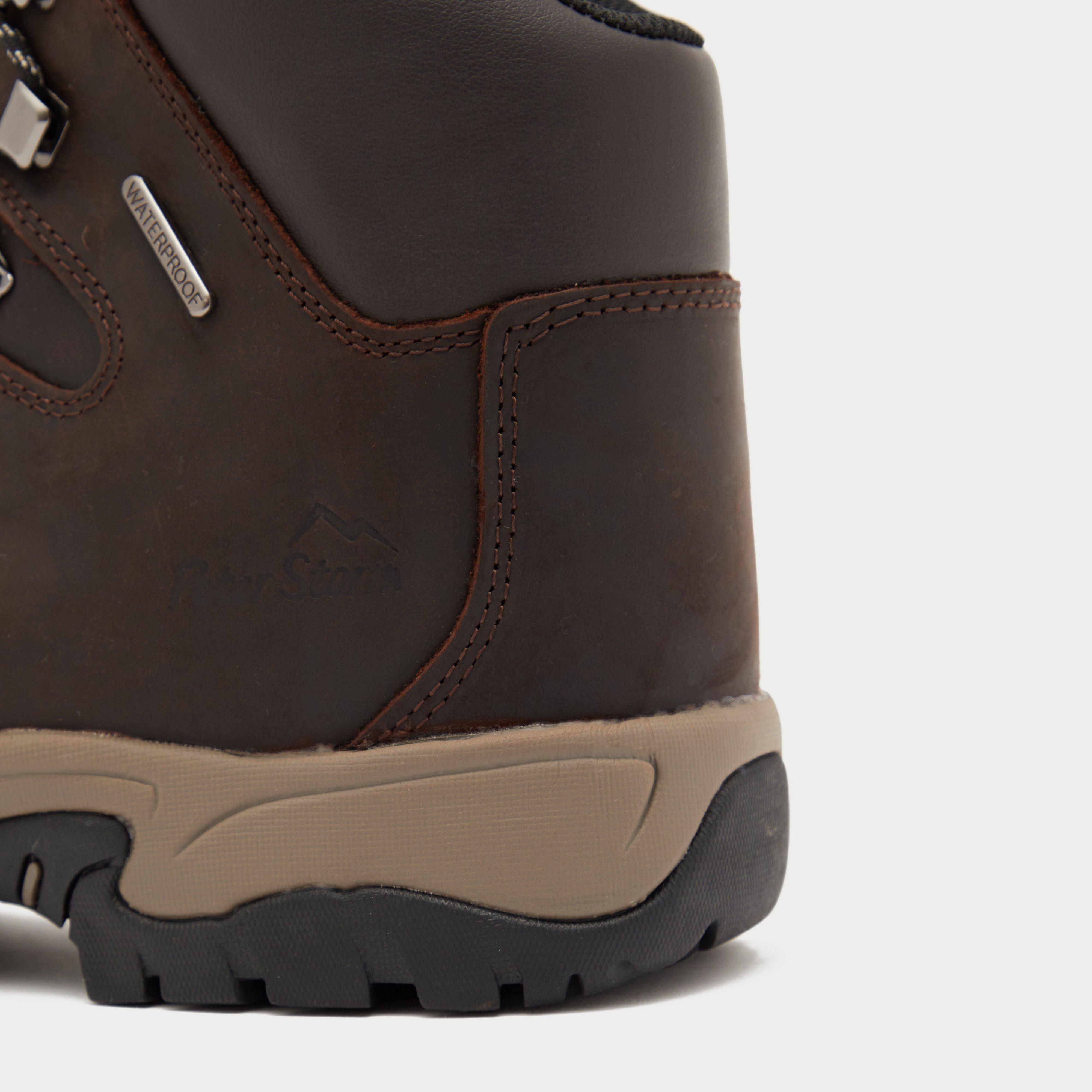 Men's Snowdon II Walking Boots