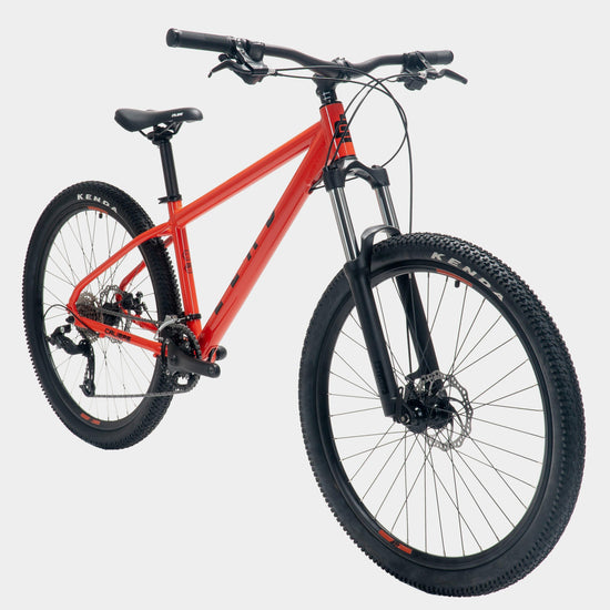 Lead Mountain Bike