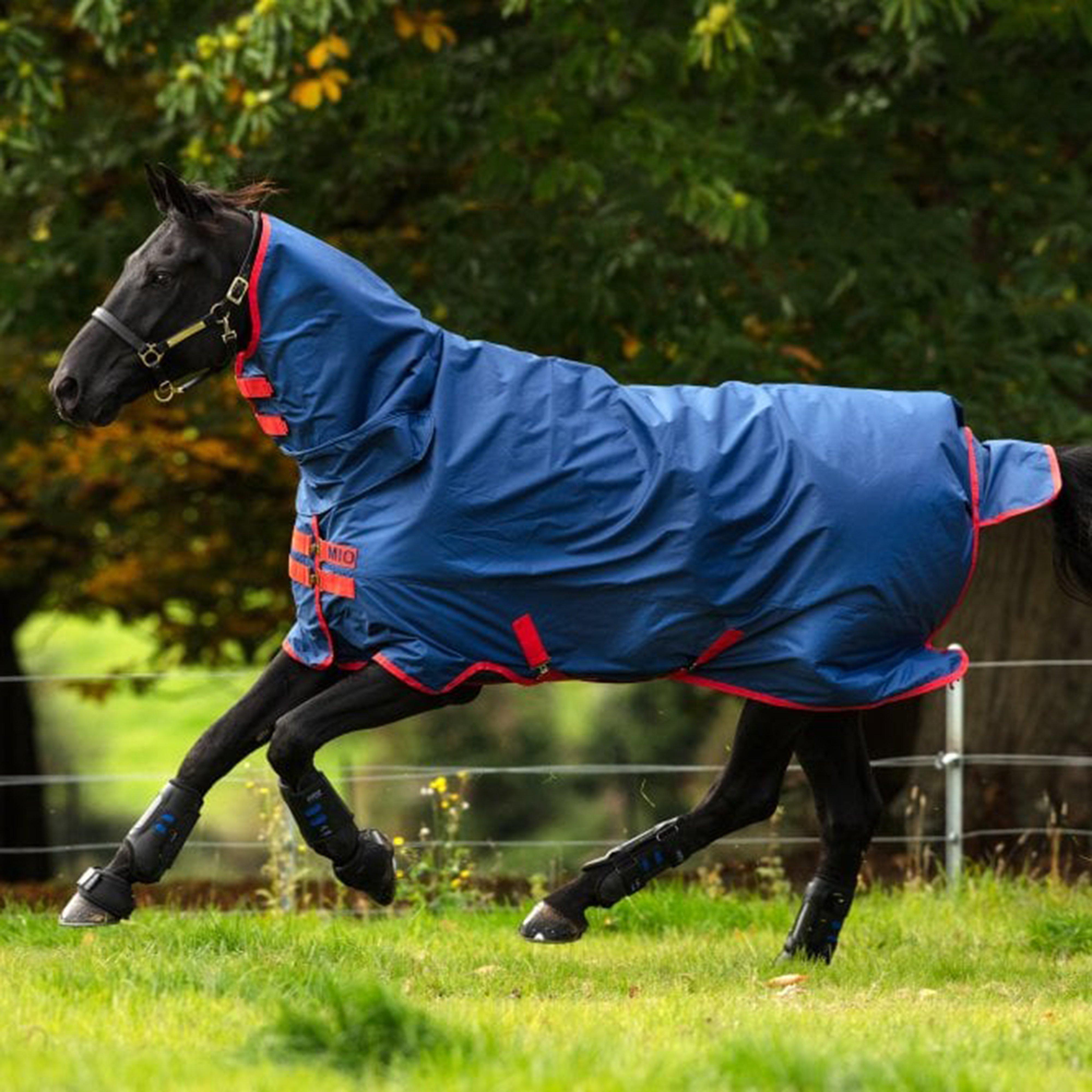All-in-one Turnout Rug (350g)