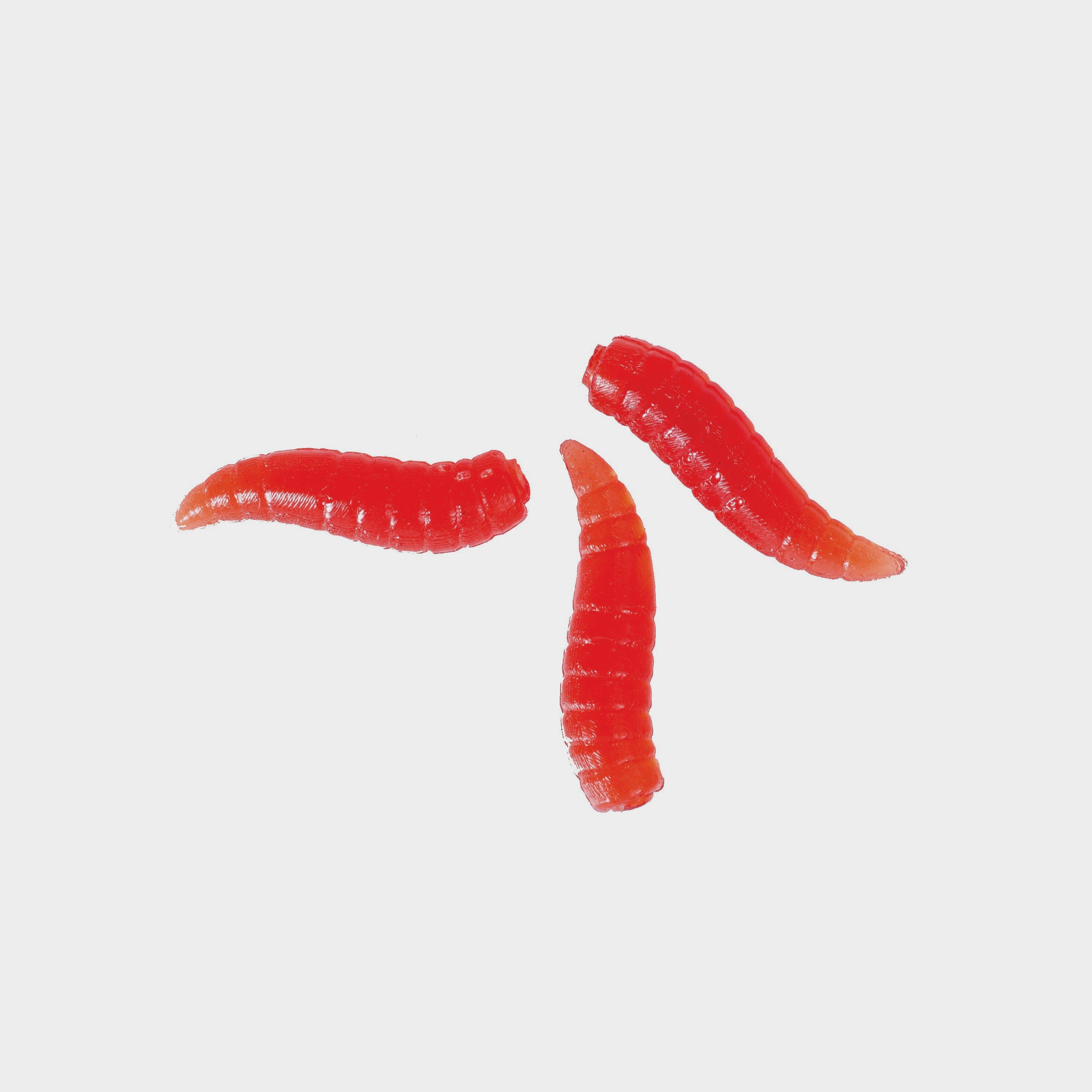 Red Wigglers