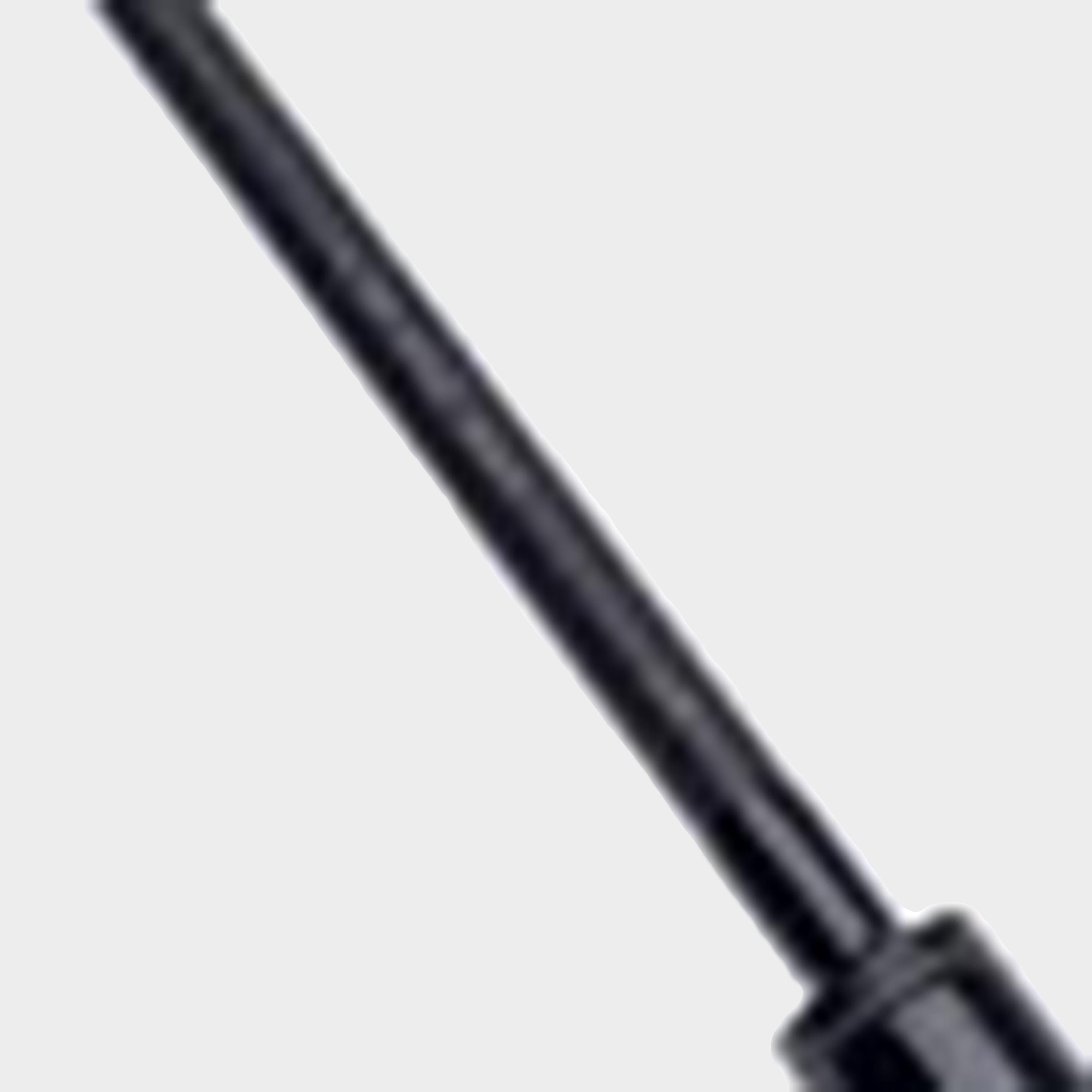 Crosscast Carp Rod 10ft 3lb
