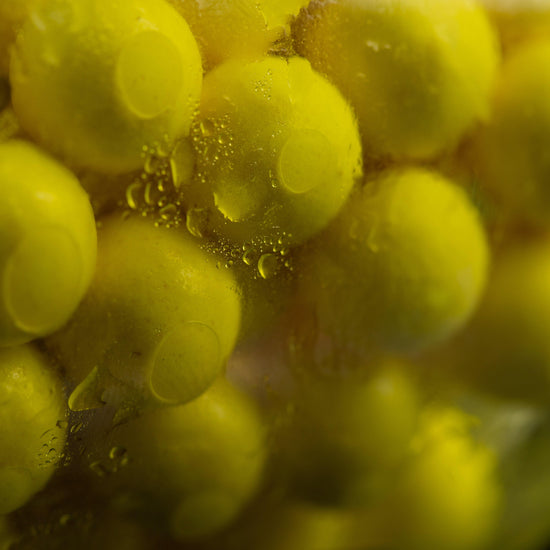 Pineapple Bait Spray 50ml