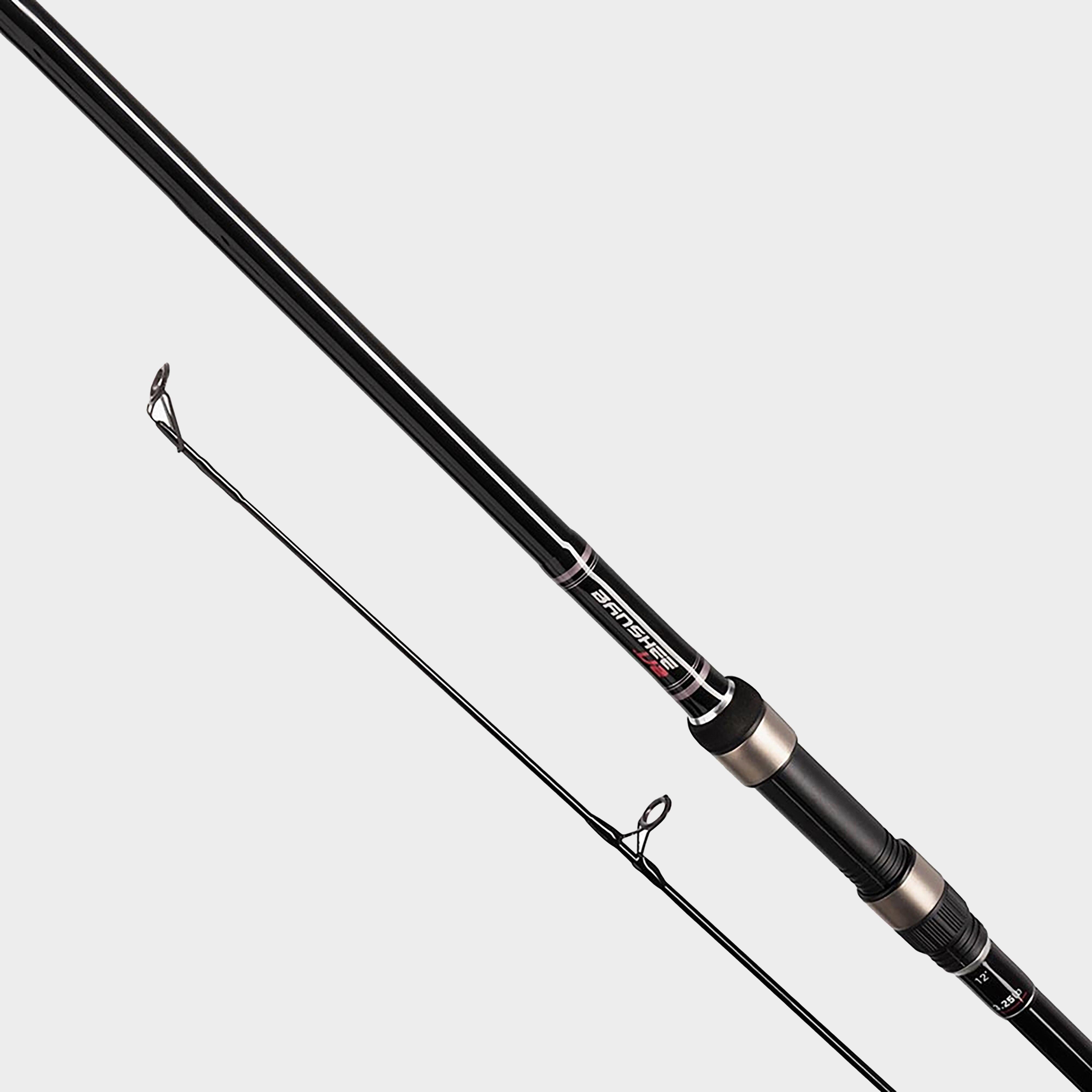 Banshee V2 Carp 10Ft 2.75Lb